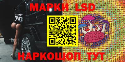 твердый Можга